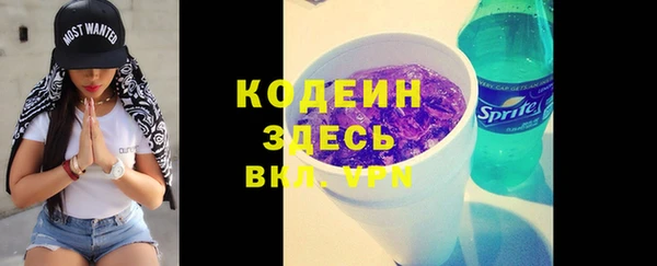 мет Дмитриев