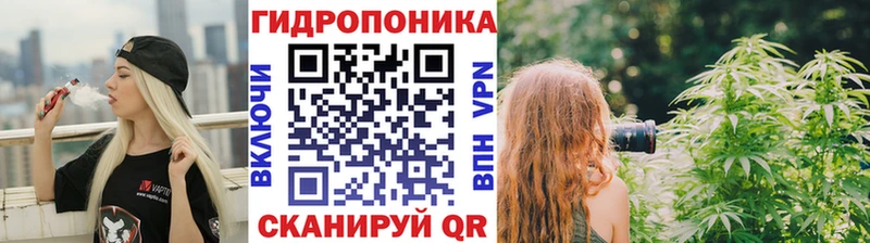 Шишки марихуана OG Kush  Невель 